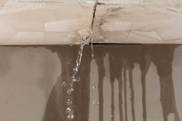 Professional Flood Damage Cleanup technician working in Nine Mile Falls, WA